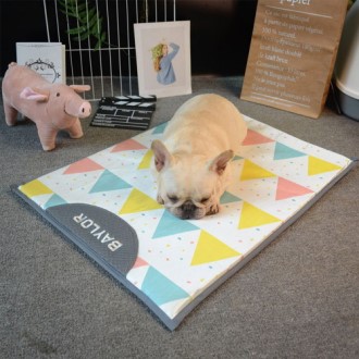 CG349 ���ڶ����� �÷�Ǯ ������ �ð� �е� �ֿ� ���Ʈ (70*53) 