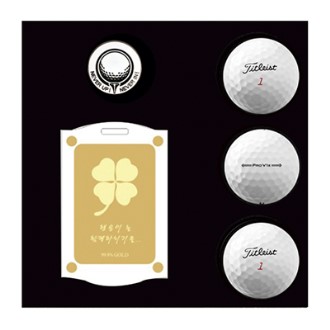 Ÿ��Ʋ����Ʈ PRO V1x 3�� ����Ŀ ���� ������